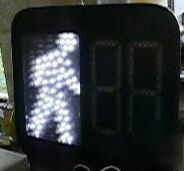 White led walk/dont walk signs with countdown timers