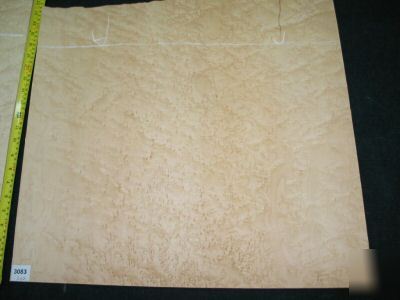 Wide nice birdseye maple veneer 19 sq. ft. lot 3083