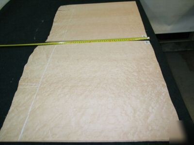 Wide nice birdseye maple veneer 19 sq. ft. lot 3083