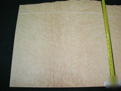 Wide nice birdseye maple veneer 19 sq. ft. lot 3083