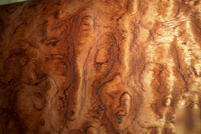Bubinga veneer 15 @ 12.5'' x 21'' [0864]