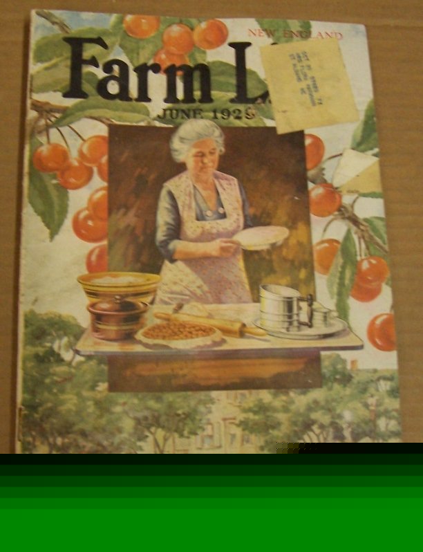 Farm life 1929 magazine vol. 48, no. 6