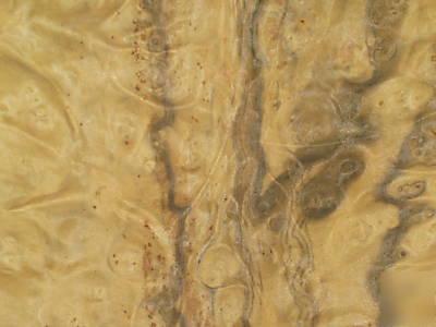 Myrtle burl veneer 18 sq ft lot 3106